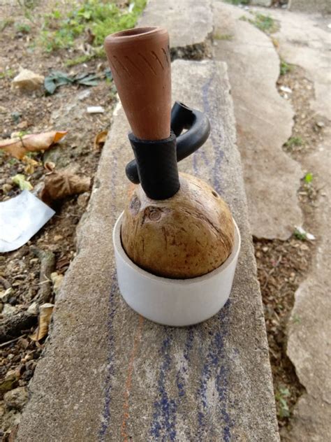 A large clay bowl called a kutchie holds the ganja and is connected to the coconut with a bamboo rod. . Jamaican chalice pipe